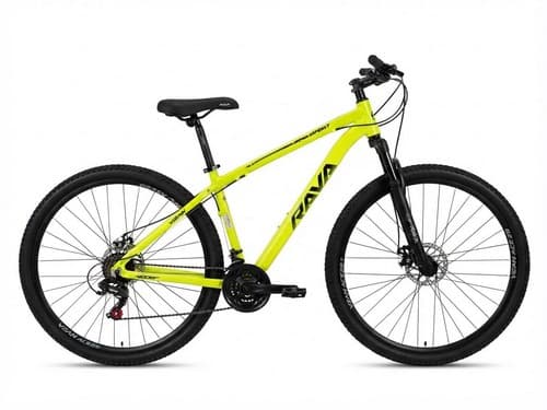 BIC 29 T17 MTB RAVA GO VERDE N