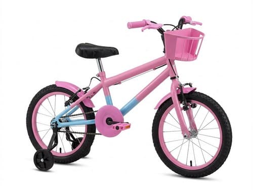 BIC 16 RBX ROSA/AZ BB/ACESS ROSA