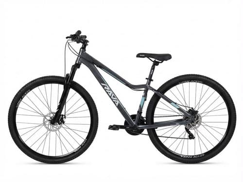 BIC 29 T15 RAVA GO CINZA
