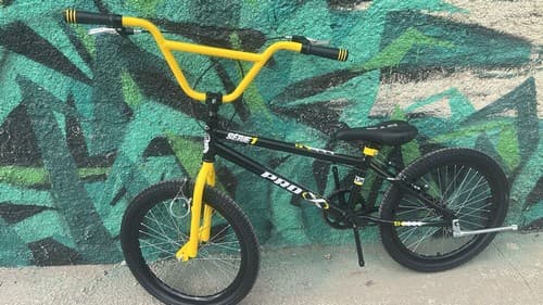 BIC 20 BMX PRO-X PTO/AMA