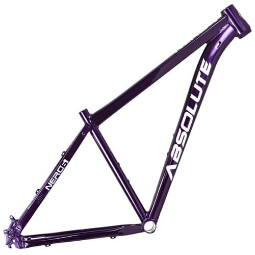 QUADRO 29 T19 NERO 6 ABSOLUTE ROXO/ADS PTA