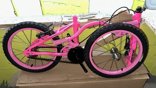 KIT BIC 16 THOR ROSA C/ARO ROSA