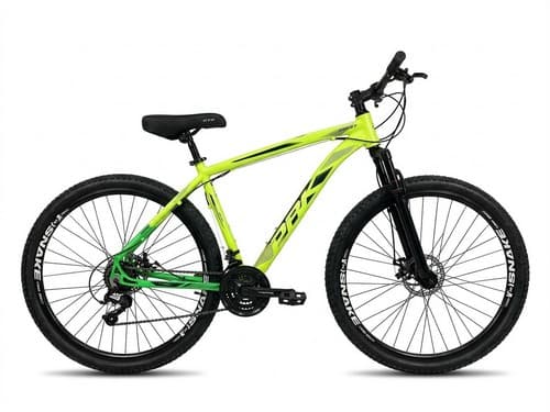 BIC 29 T19 AMA/VERD ADS/PTO PRK SPORT (C.E)