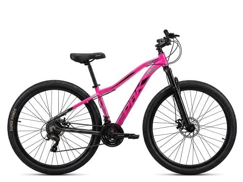 BIC 29 T15 ROSA/GRAF ADS PTO PRK (C.E)